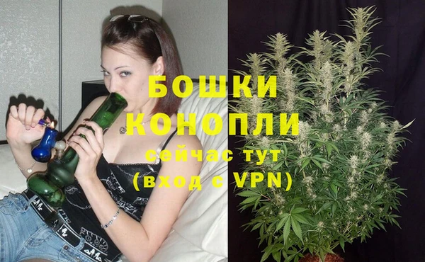 альфа пвп Медногорск