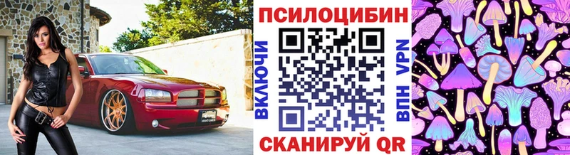 даркнет сайт  Прокопьевск  Галлюциногенные грибы MAGIC MUSHROOMS 