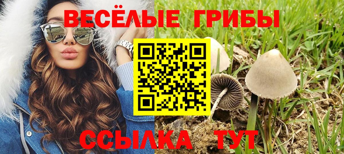 Псилоцибиновые грибы Cubensis  Галлюциногенные грибы мицелий  Прокопьевск  Вход с VPN 