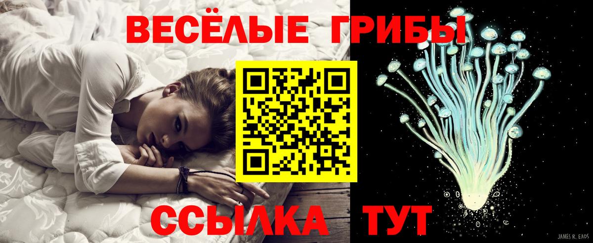 Псилоцибиновые грибы Cubensis Прокопьевск